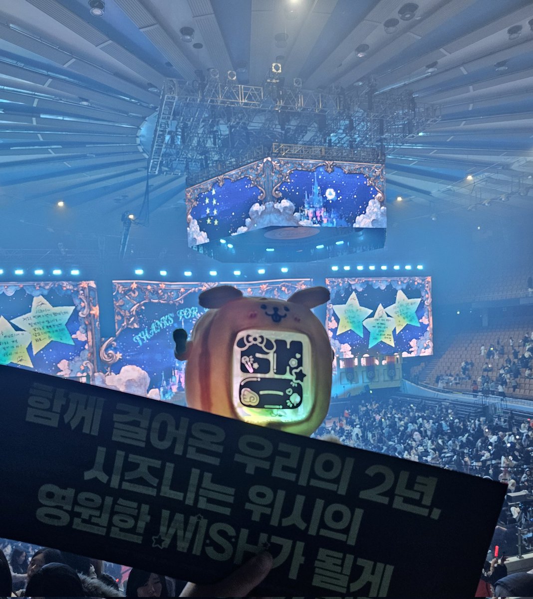 듀엉૮ . . ა tweet media
