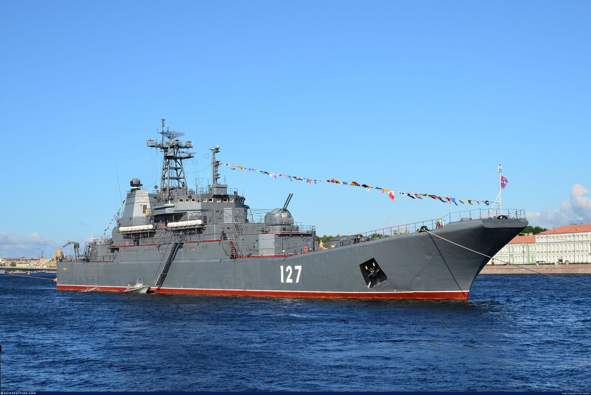 Cinantya with a WHY tweet media