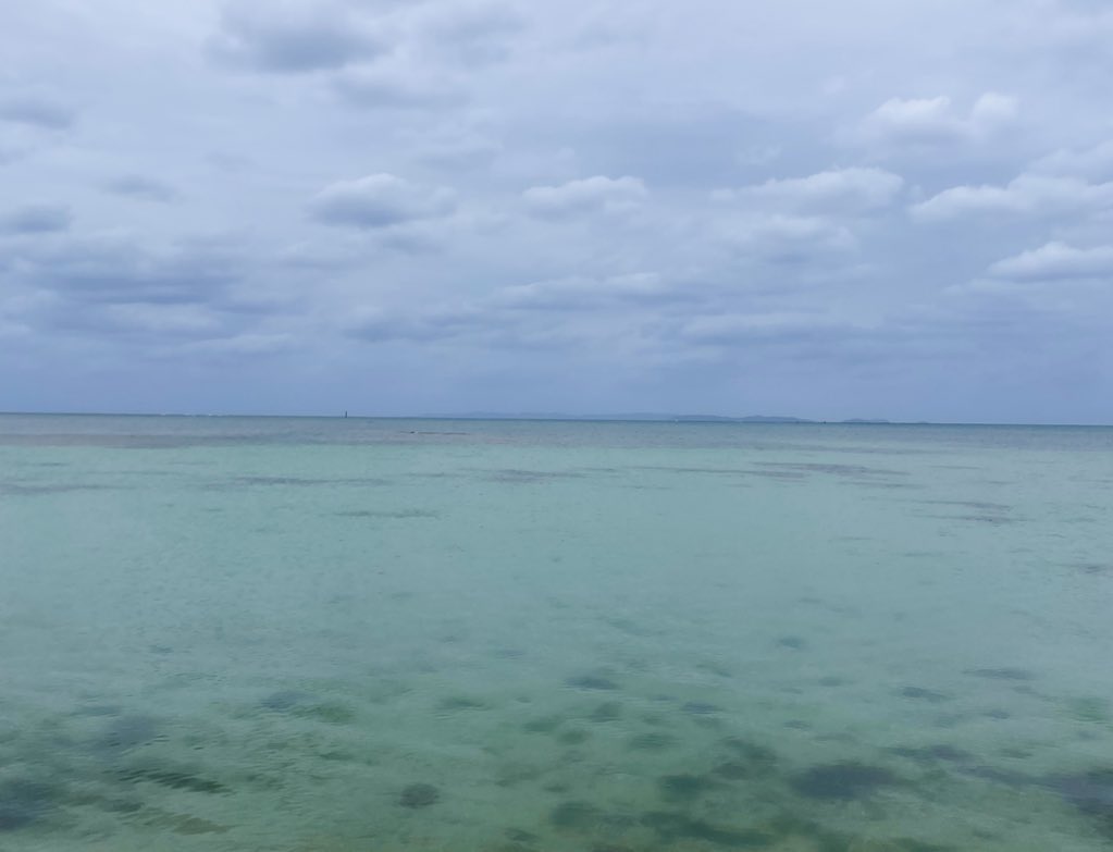 ⋆ ☄︎. ·˚ * ꙳ tweet media