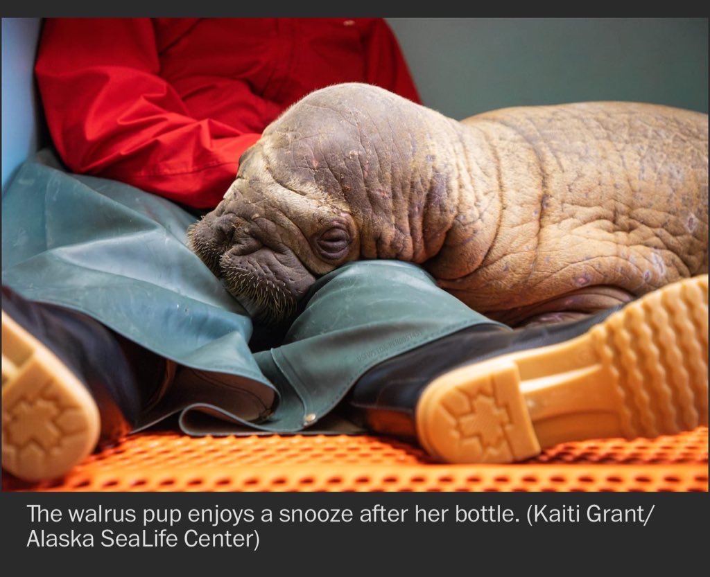 Chris Harrington tweet media