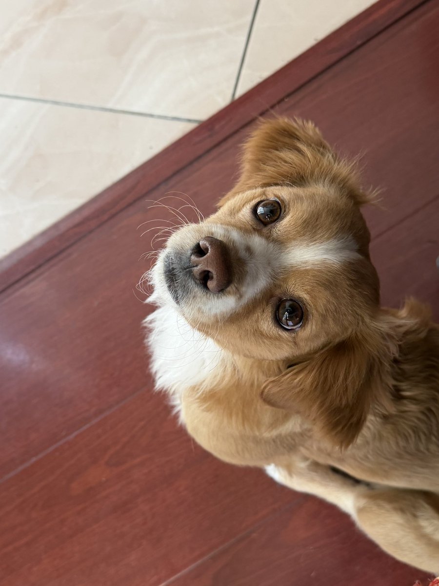 Emmi 🌸👩🏻‍💻 tweet media