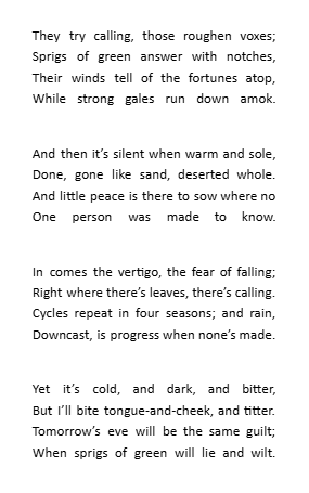 Miss Lucerne🍀 tweet media