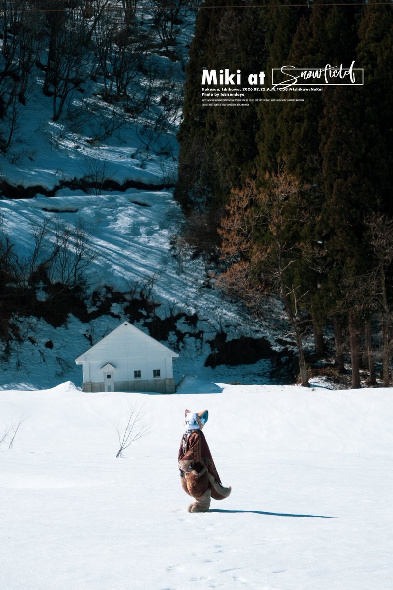 𝙈𝙞𝙠𝙞 tweet media