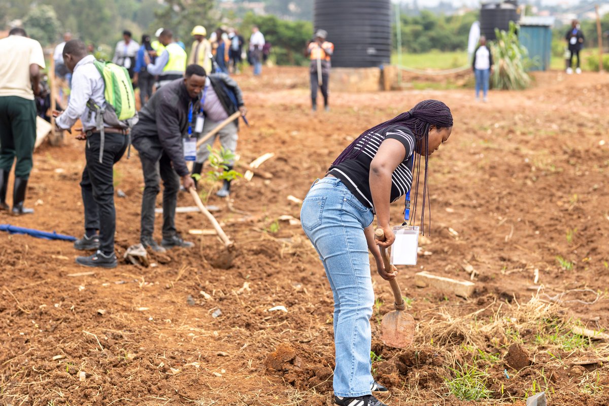 WRI Africa tweet media