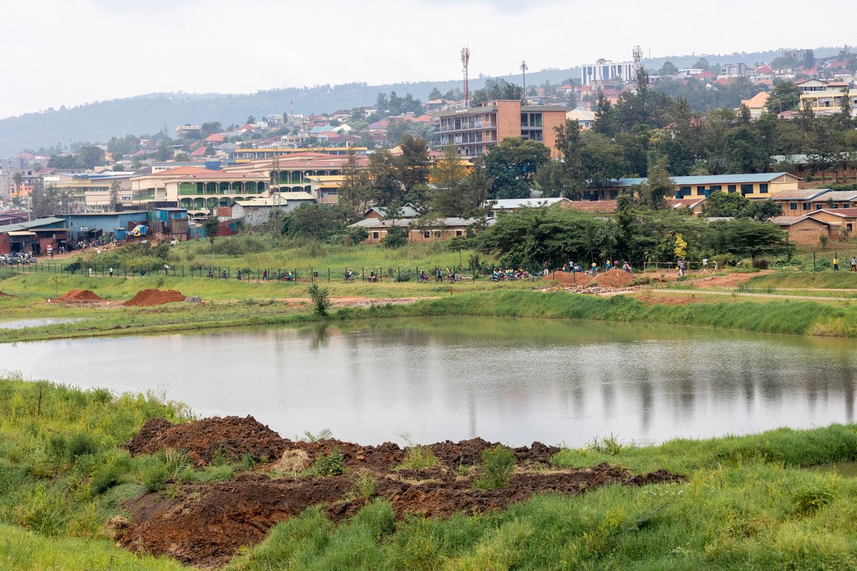 WRI Africa tweet media