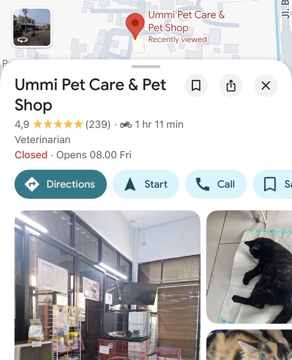 Karena twit Dok Purbo, saya ingin cerita tentang orang tua kami yang juga berprofesi sebagai dokter hewan

Setelah pensiun dari dunia profesional, mereka membuka layanan pet care dan pet hotel di daerah Kab. Tangerang. Namanya Ummi Pet Care and Pet Shop.

Niatnya sangat tulus