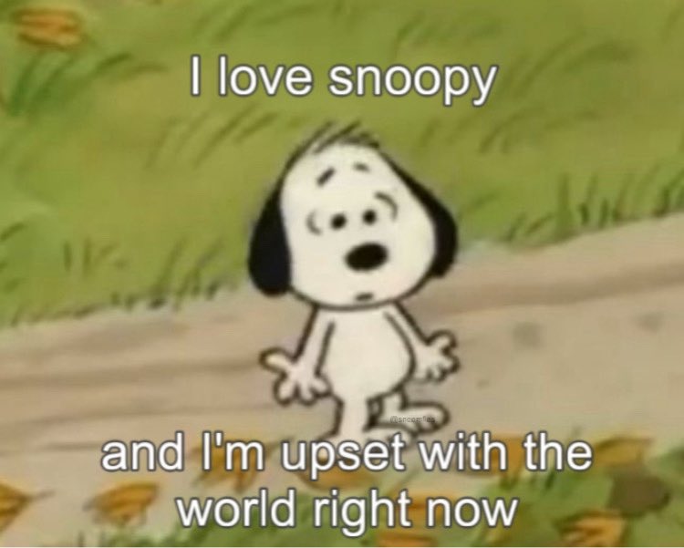 snoopy lover tweet media