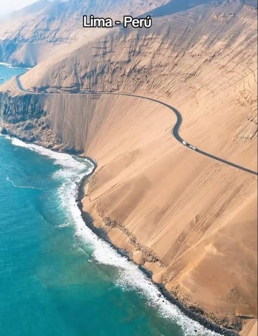 Camilo R. tweet media