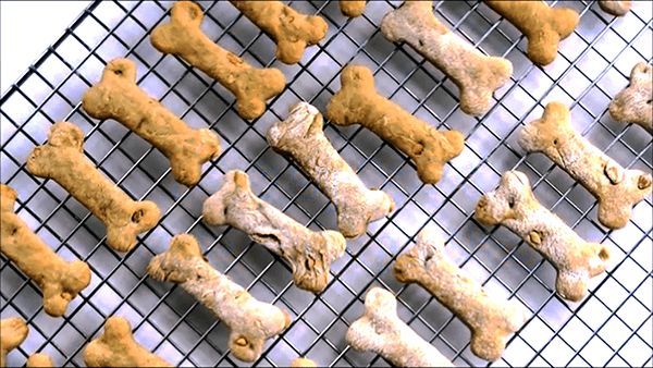 TheReviewWire's tweet photo. Learn how to whip up easy, healthy homemade dog treats! 🐶🍖 These DIY recipes are perfect for spoiling your pup with wholesome goodness.
Check them out here: https://t.co/GrBotZdhvq
#DogTreats #DIYDog #PetParents https://t.co/h7fDbkffMS