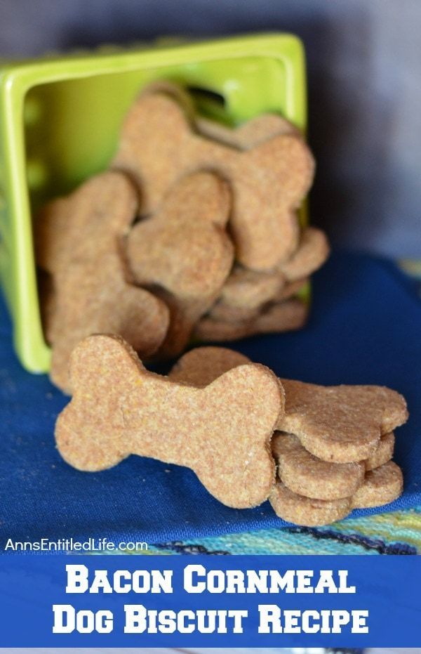 TheReviewWire's tweet photo. Learn how to whip up easy, healthy homemade dog treats! 🐶🍖 These DIY recipes are perfect for spoiling your pup with wholesome goodness.
Check them out here: https://t.co/GrBotZdhvq
#DogTreats #DIYDog #PetParents https://t.co/h7fDbkffMS