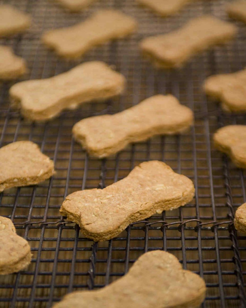 TheReviewWire's tweet photo. Learn how to whip up easy, healthy homemade dog treats! 🐶🍖 These DIY recipes are perfect for spoiling your pup with wholesome goodness.
Check them out here: https://t.co/GrBotZdhvq
#DogTreats #DIYDog #PetParents https://t.co/h7fDbkffMS