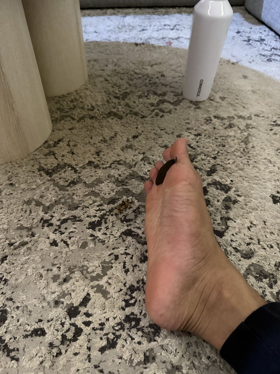 😾 Cece Bacem & ₘₑᵢₘₑᵢ tweet media