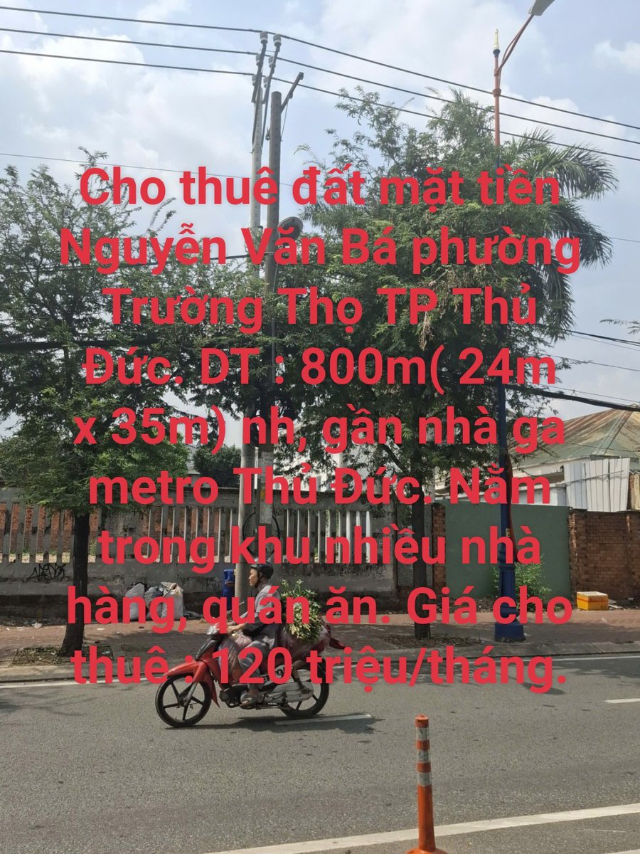 tuan vu (@tuanvu9277) / Posts / X