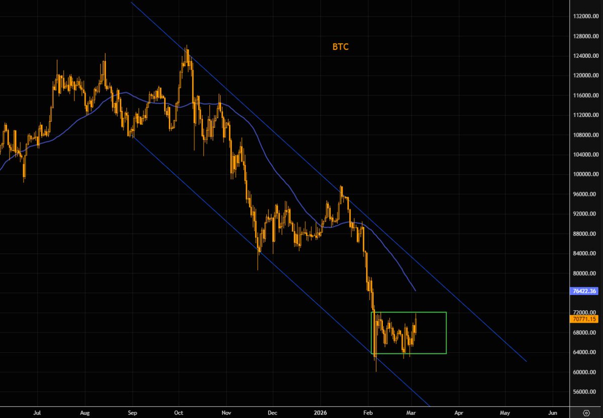 Ingmar Mattus tweet media