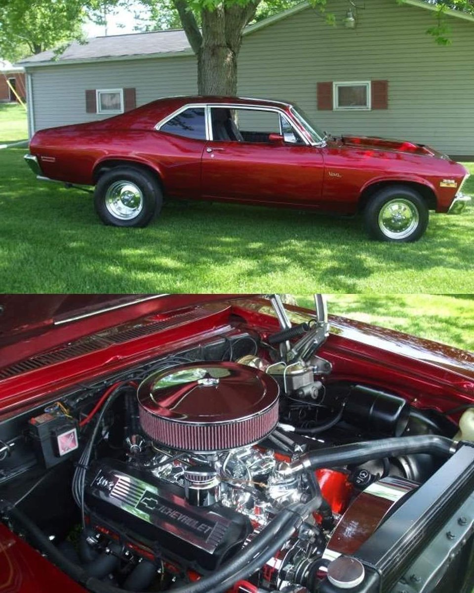 🏁 𝔹 ℝ 𝕀 𝔸 ℕ 🏁 tweet media