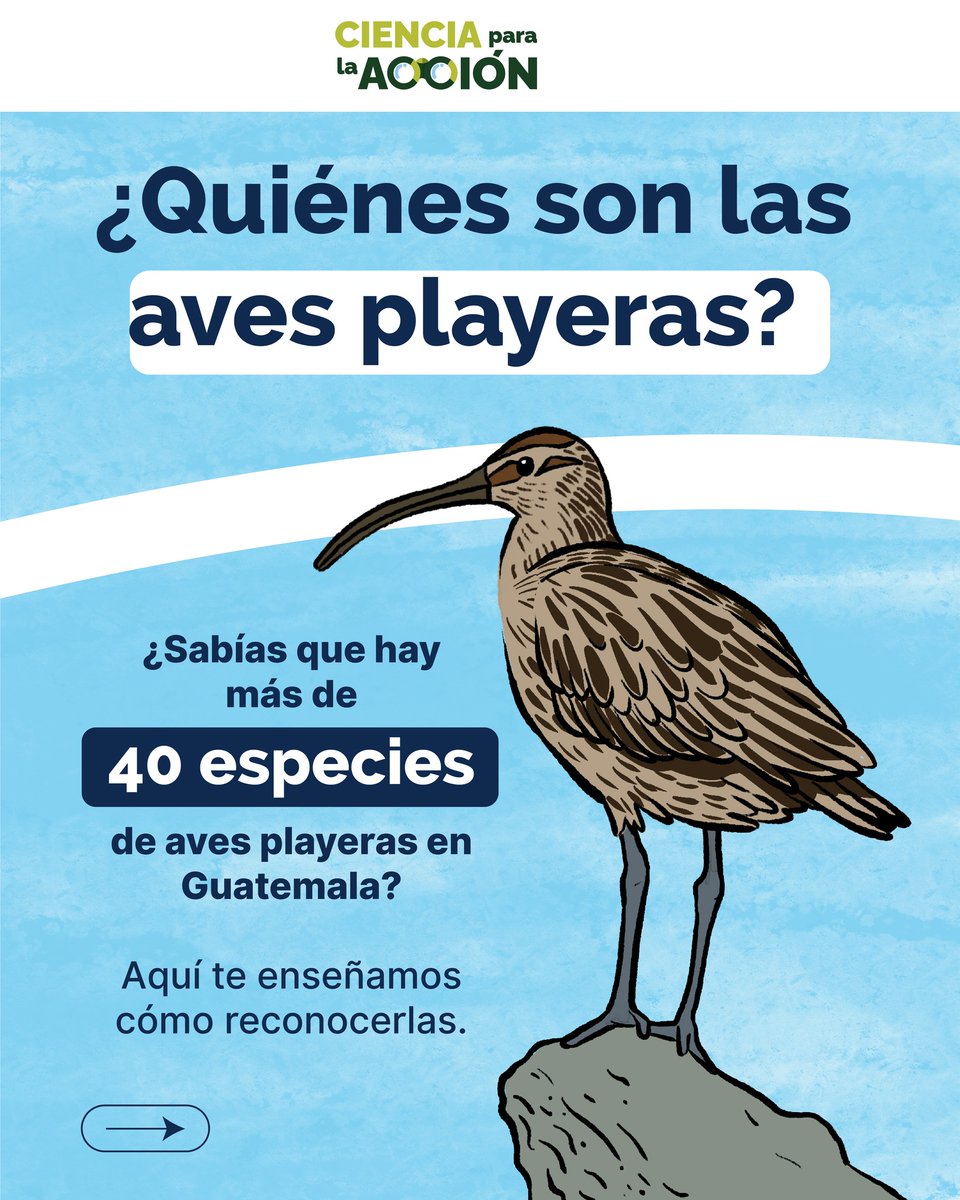 WCS Mesoamérica y el Caribe tweet media