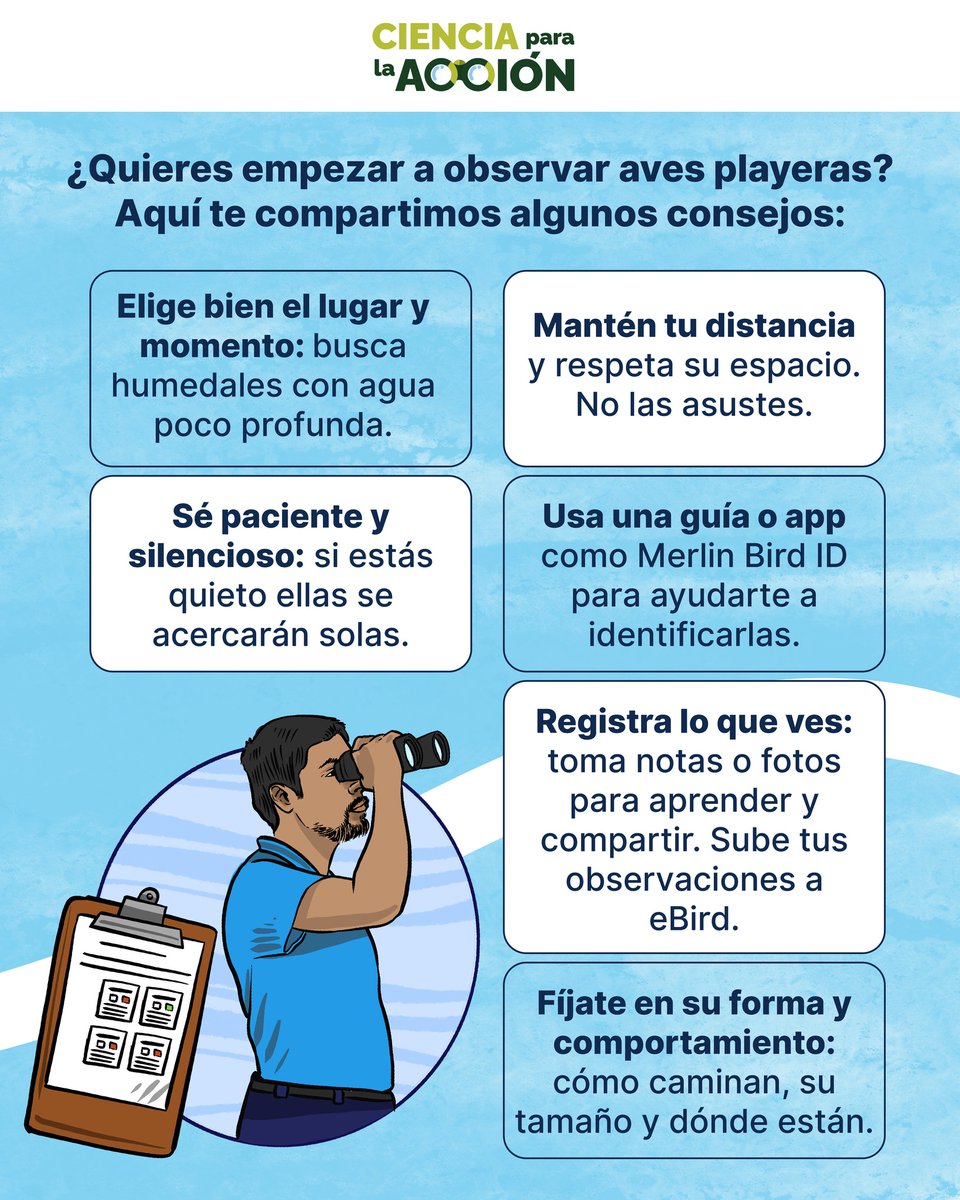 WCS Mesoamérica y el Caribe tweet media