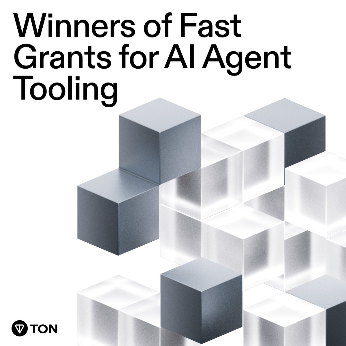 TON 💎 tweet media