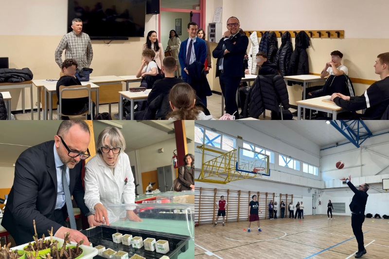 Provincia di Treviso tweet media