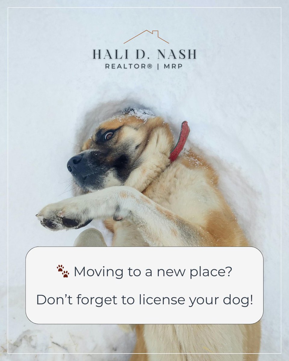 Hali_Nash_'s tweet photo. Remember your furry friend! 🐶🏠 Licensing your dog is crucial for their safety and well-being in your new community.

@homeswithhali

C: (508) 685-0396 📱 | O: (603) 334-1900 📞

#HomeswithHali #Realtor #MortgageRefinance #MortgageRates #HomeFinance #Refinance #LoveWhereYouLive https://t.co/Tc4VRKZGwu