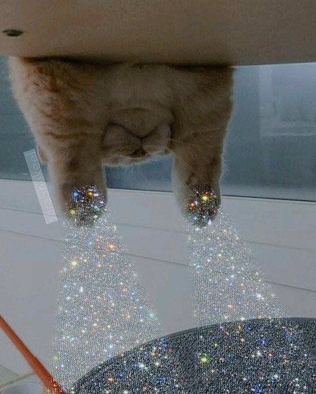 La actitud es la parte más hermosa del cuerpo y hoy tengo para todos. Tomen: