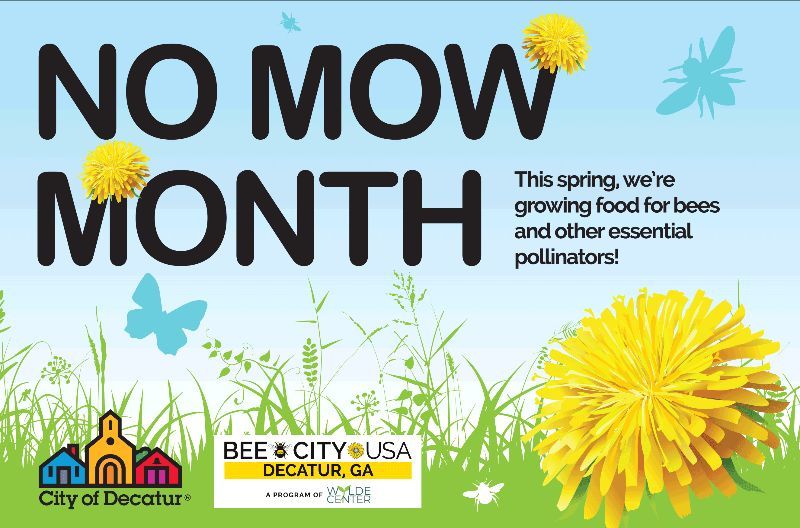BeecaturGA's tweet photo. Help pollinators w/o lifting a finger! During No Mow Month, let early spring flowers like dandelions, violets, dead nettle, etc. grow for pollinating insects at a time when food is scarce.  Pick up your FREE No Mow Month yard sign @ Decatur Public Works (2635 Talley Street). https://t.co/9praLOwkf7