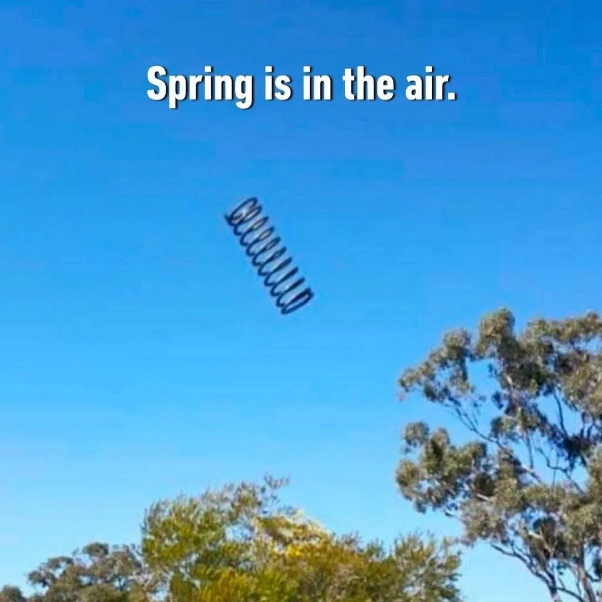 PhD Бля водній чіп накрився🇺🇦 tweet media