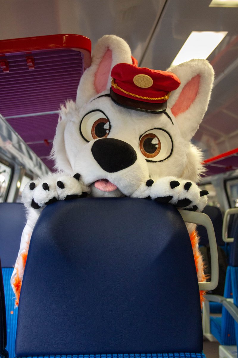 Bolt Railway Dog 🚂 tweet media