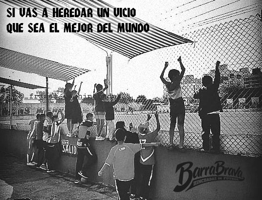 Barra Brava tweet media