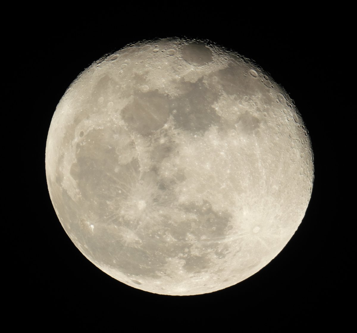 月世界への招待🌙🔭 tweet media