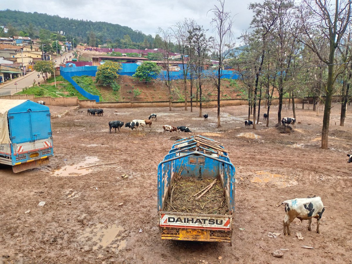 Sam Kabera tweet media