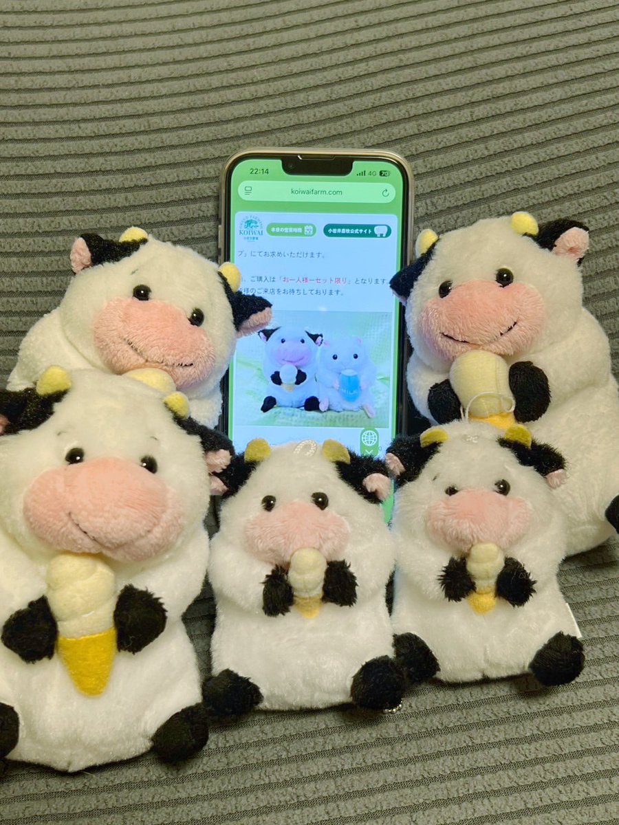 softushi3s's tweet photo. みんななにみてるの？
🐮🐮🐮🐮🐮
ソフト牛再販だって✨ https://t.co/ZxJgezzxjN