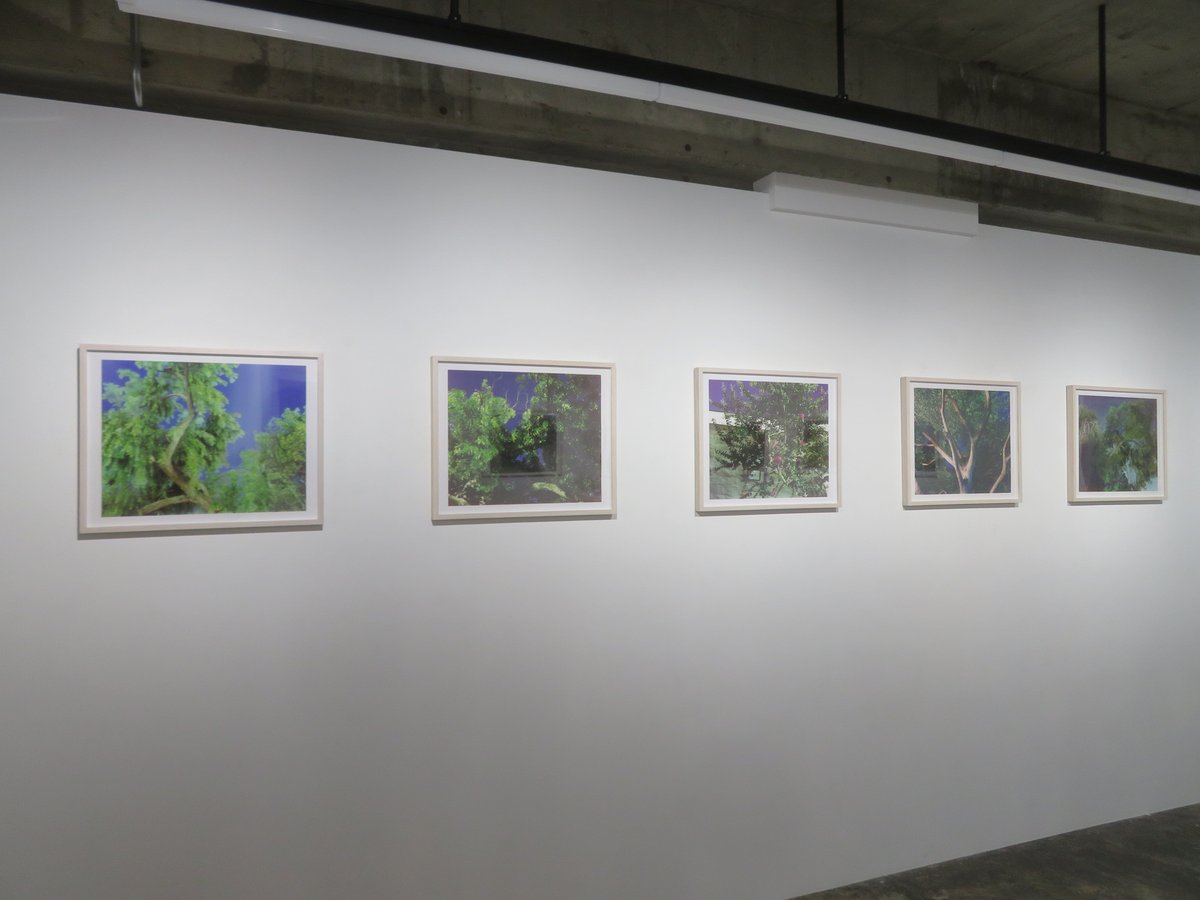 小吹隆文 tweet media