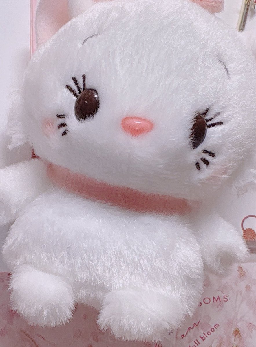 ディズニーストアに入ったらキュルンキュルンな瞳で見つめられたので、耐えきれなくてお迎えしました🥰
我が家へようこそ✨