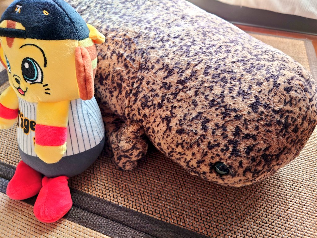 Post by もんみー🐦️｜ on X: オリックス