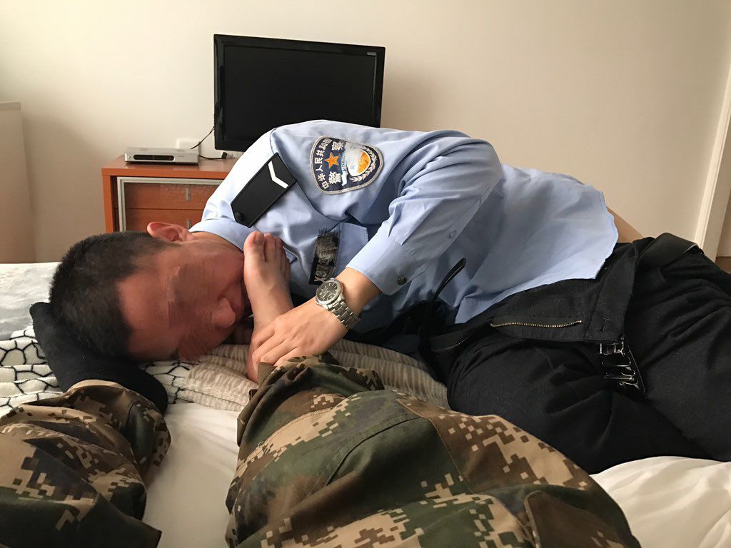 军攻之鸟 tweet media