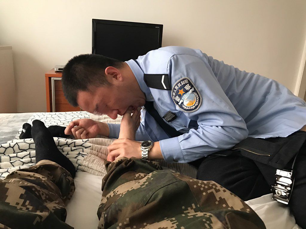 军攻之鸟 tweet media