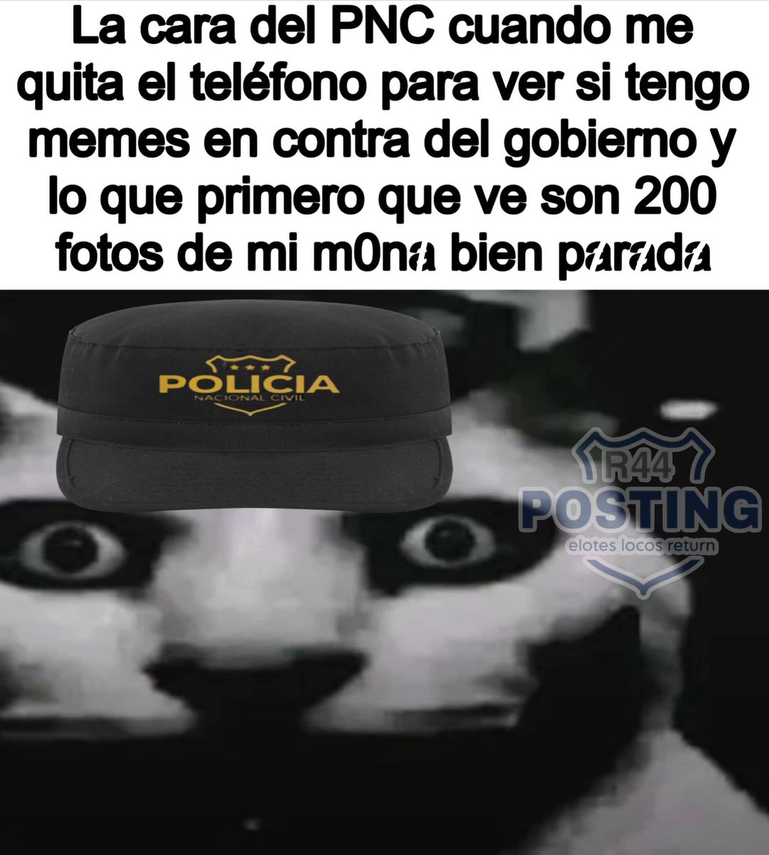 Fénix Leviatán tweet media