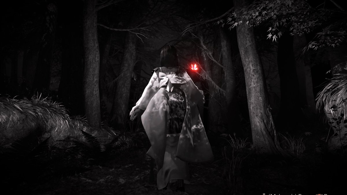 Shinobi 🖱📸 tweet media