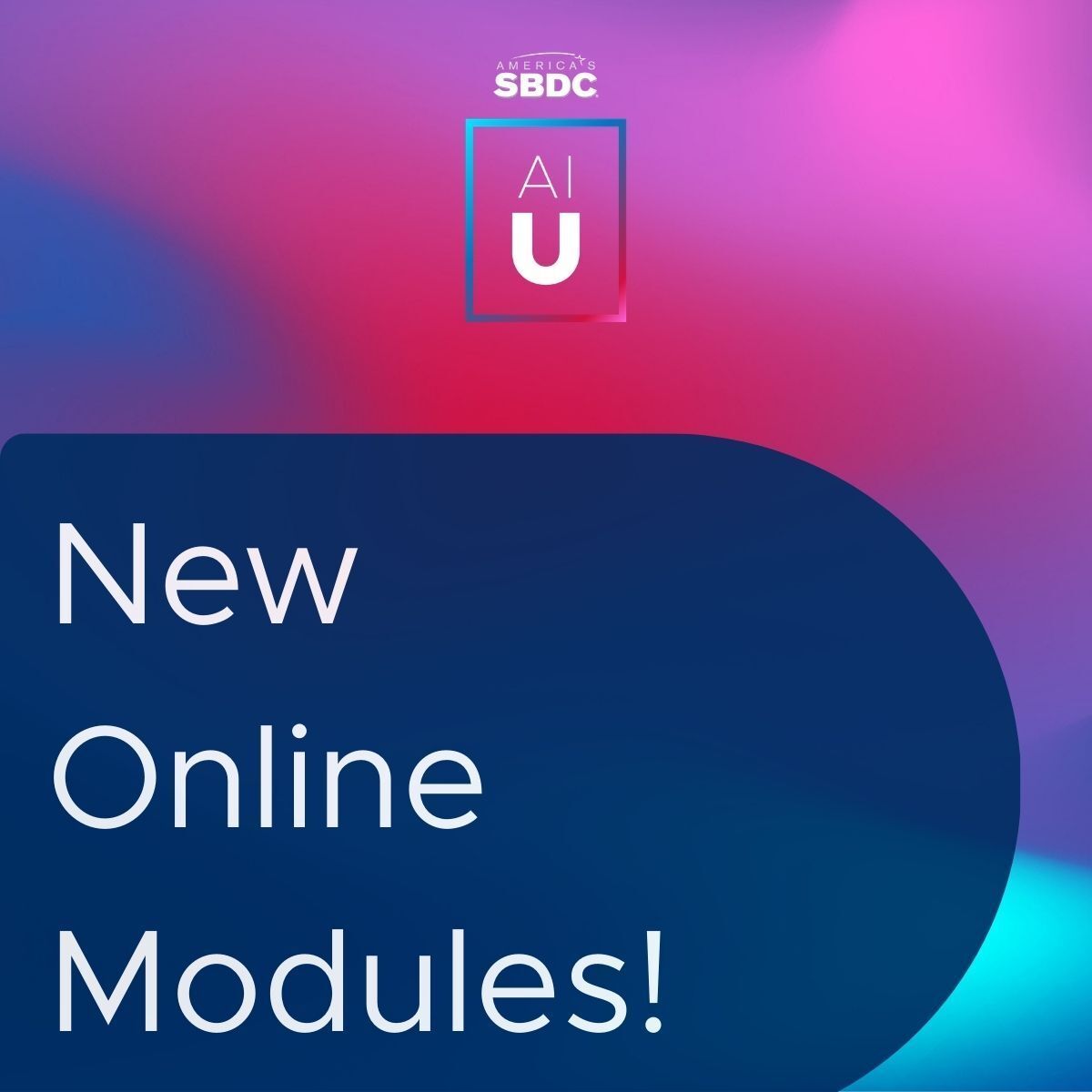 America's SBDC tweet media