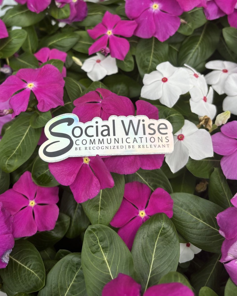 Social Wise tweet media