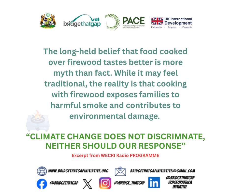 Bridge That Gap Initiative tweet media