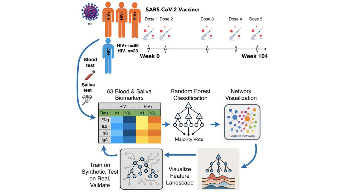 💉🖥️ Une #IA identifie pourquoi les réponses vaccinales varient à l’échelle mondiale

ow.ly/WXPW50YpusL