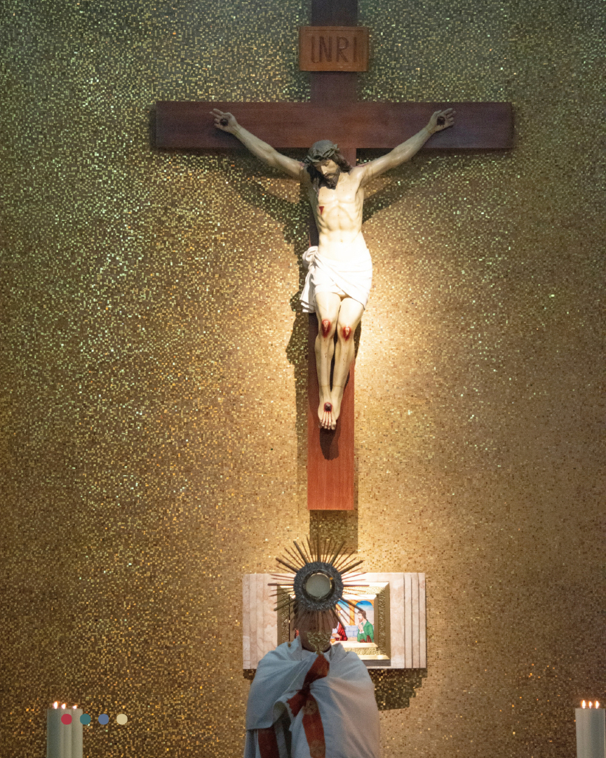 Regnum Christi tweet media