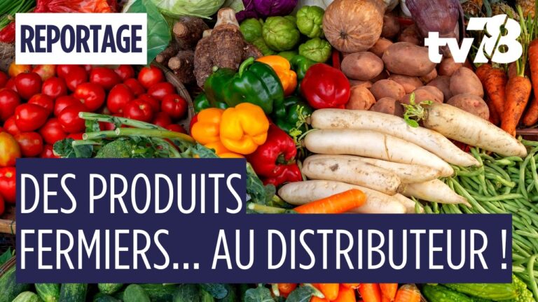 Image for the Tweet beginning: 🌾 Circuits courts, cantines &amp;