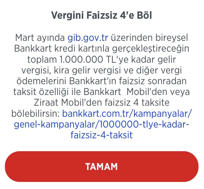 金融ビジネス（2004/3.4.6.9） Gelir vergisi, kira gelir vergisi veya diğer vergi ödemelerinizi