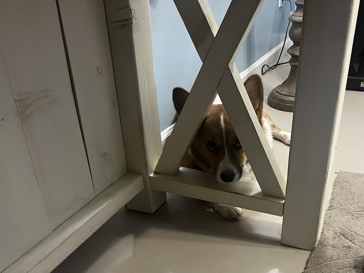 MLL 🎶 tweet media