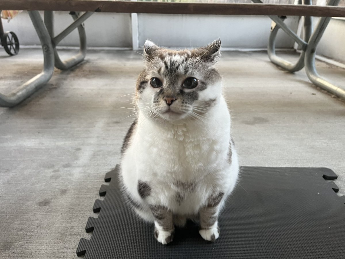 Catherine Tinker tweet media