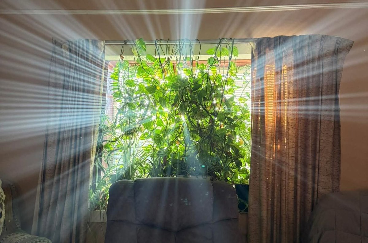 Mariam • tweet media