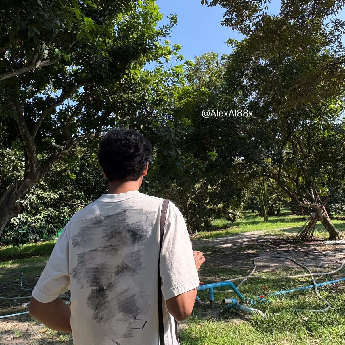 Alex🦉 tweet media